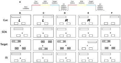 Functional and Structural Architectures of Allocentric and Egocentric Spatial Coding in Aging: A Combined DTI and fMRI Study